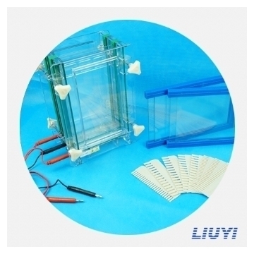 北京六一單板夾芯式垂直電泳儀（大號）DYCZ-28B