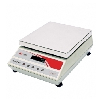 沈陽龍騰大稱量電子天平ES10K-1