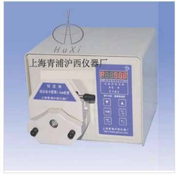 上海青浦滬西數顯蠕動泵BT-100
