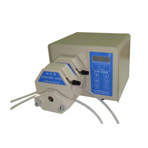 上海青浦滬西數顯蠕動泵BT-200