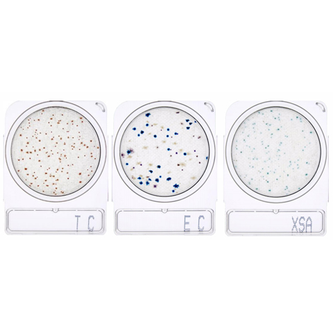 島津Compact Dry 微生物顯色培養片