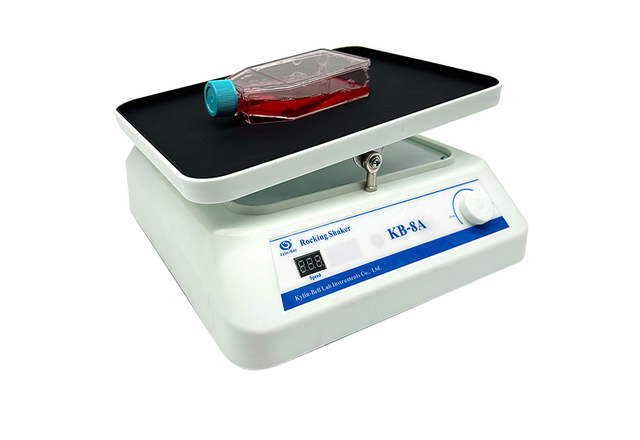 海門其林貝爾轉(zhuǎn)移脫色搖床KB-8A